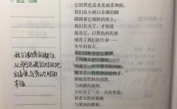 诗歌我的土地，我的土地现代诗