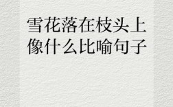 雪花的名言，它究竟说了什么？