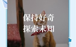 名言为何让人好奇？