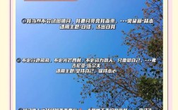 有关自我的名人名言