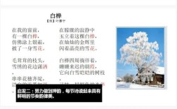白桦诗歌的意思