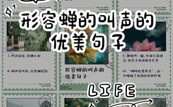 蝉声里藏着多少被赞美的秘密？