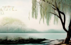 关于柳的诗歌，关于柳的诗歌现代诗