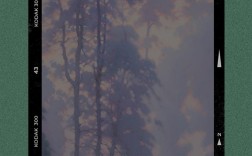 去他妈的名言，去他妈的世界经典句子