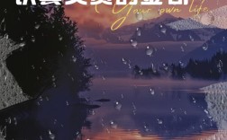 何为细心的真谛？有哪些名言能启迪这份品质？