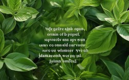 春天的树叶诗歌