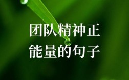 公司团队精神的名言，公司团队精神的名言有哪些