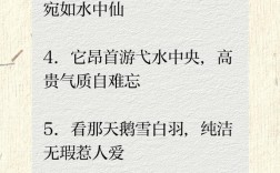 关于鹅的名言，关于鹅的名言名句
