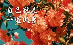 名言如何诠释绽放之美？