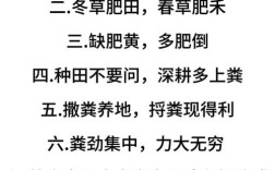 农农名言有何深意？