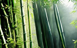 竹的诗歌里，藏着多少文人风骨？