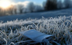 霜降时节，诗歌里藏着怎样的秋日私语？