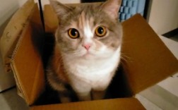 小学生诗歌里藏着怎样的童心？