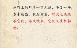 野味诗歌，野味诗句