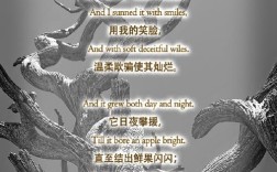 诗歌主义究竟指向何方？