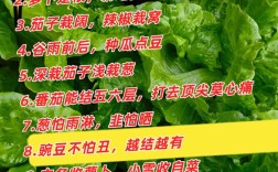 种菜名言藏着什么生活智慧？