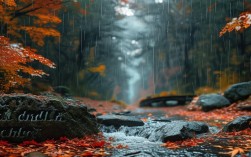 秋雨的诗行，藏着谁的叹息？