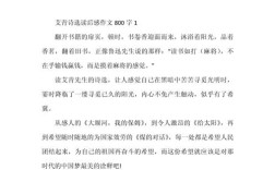 对诗歌的感受作文