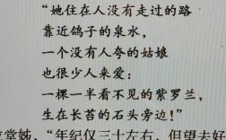 华兹华斯诗歌有何独特魅力？