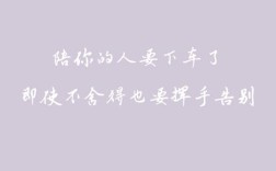 董卿的励志名言，藏着怎样的人生智慧？