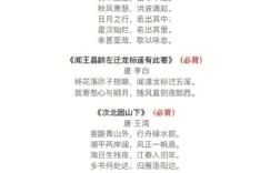 初一诗歌有何独特魅力？