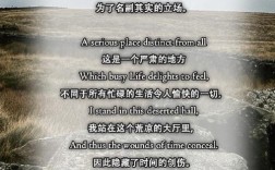 普普罗旺斯诗歌有何独特魅力？