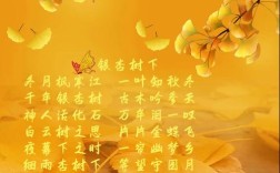 银杏树在诗中，藏着怎样的秋日密语？