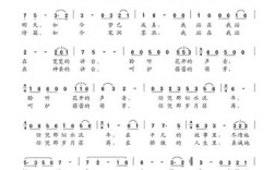 拥抱春天诗中藏着什么？