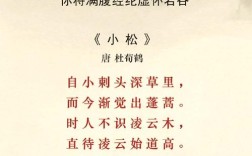 小松 诗歌，小松诗歌鉴赏