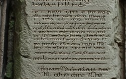 我们的错误诗歌，我们的错误诗歌原文