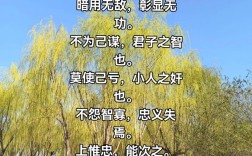 智者愚者，名言何解？