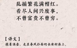 陆游诗歌有何独特魅力？