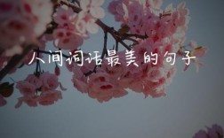 人间花名言，人间花语