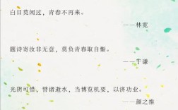 青稚的名言，青稚语录