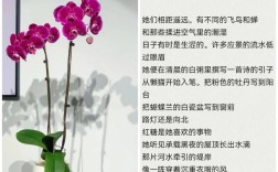 诗歌空气里藏着怎样的呼吸与回响？