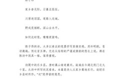 对诗歌的鉴赏作文