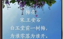 梅花颂诗如何咏梅魂？