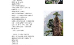 诗歌编辑，如何炼成？