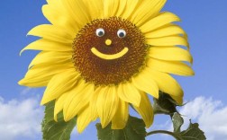 微笑的名言，藏着怎样的智慧？