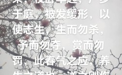 陈长生最经典的语录，哪一句戳中了你的泪点？