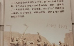 南泥湾诗歌，南泥湾诗歌背后的历史