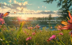 2025年颜色名言新趋势，哪些金句最火？