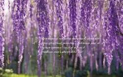 紫薇花诗歌最新力作，为何引爆今夏文学圈？