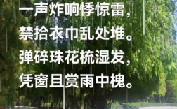 雷电诗歌，惊雷藏诗韵？