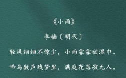 小雨的诗歌藏着怎样的诗意？