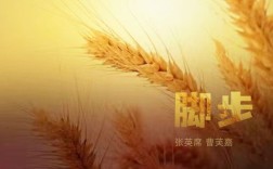 诗歌脚步丈量了哪些远方？