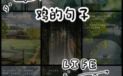 母鸡名言有何深意？