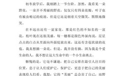 名言作文500，名言作文500字左右