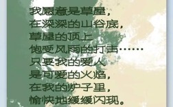 裴多菲诗歌有何独特魅力与时代价值？