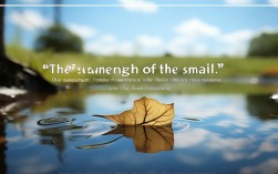 微小力量名言，当下时代为何更需被看见？